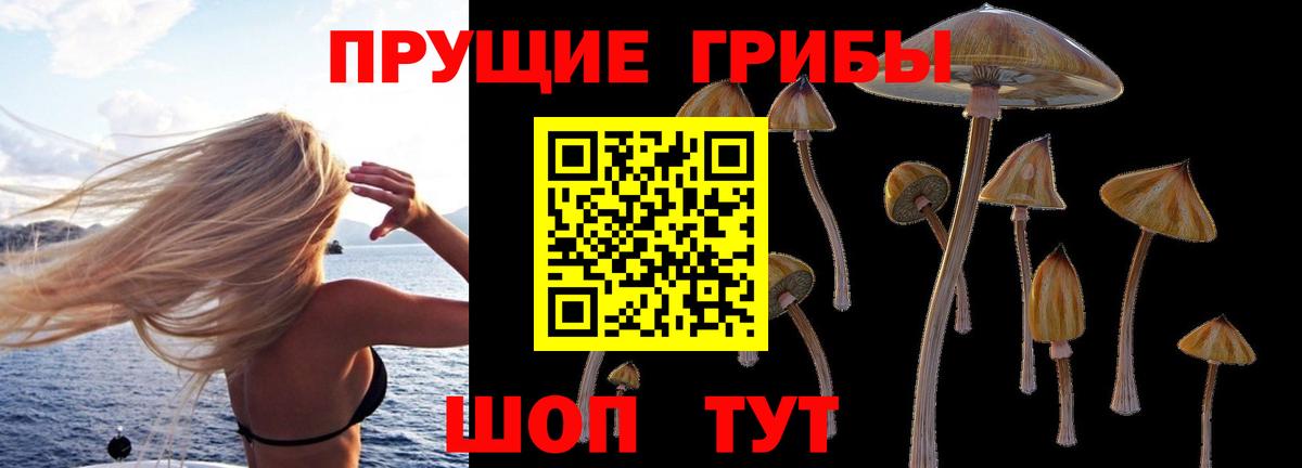 Галлюциногенные грибы ЛСД  купить наркотики сайты  Шадринск  Вход с VPN 